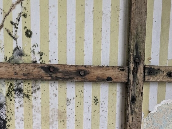 Mouldy wallpaper and battens