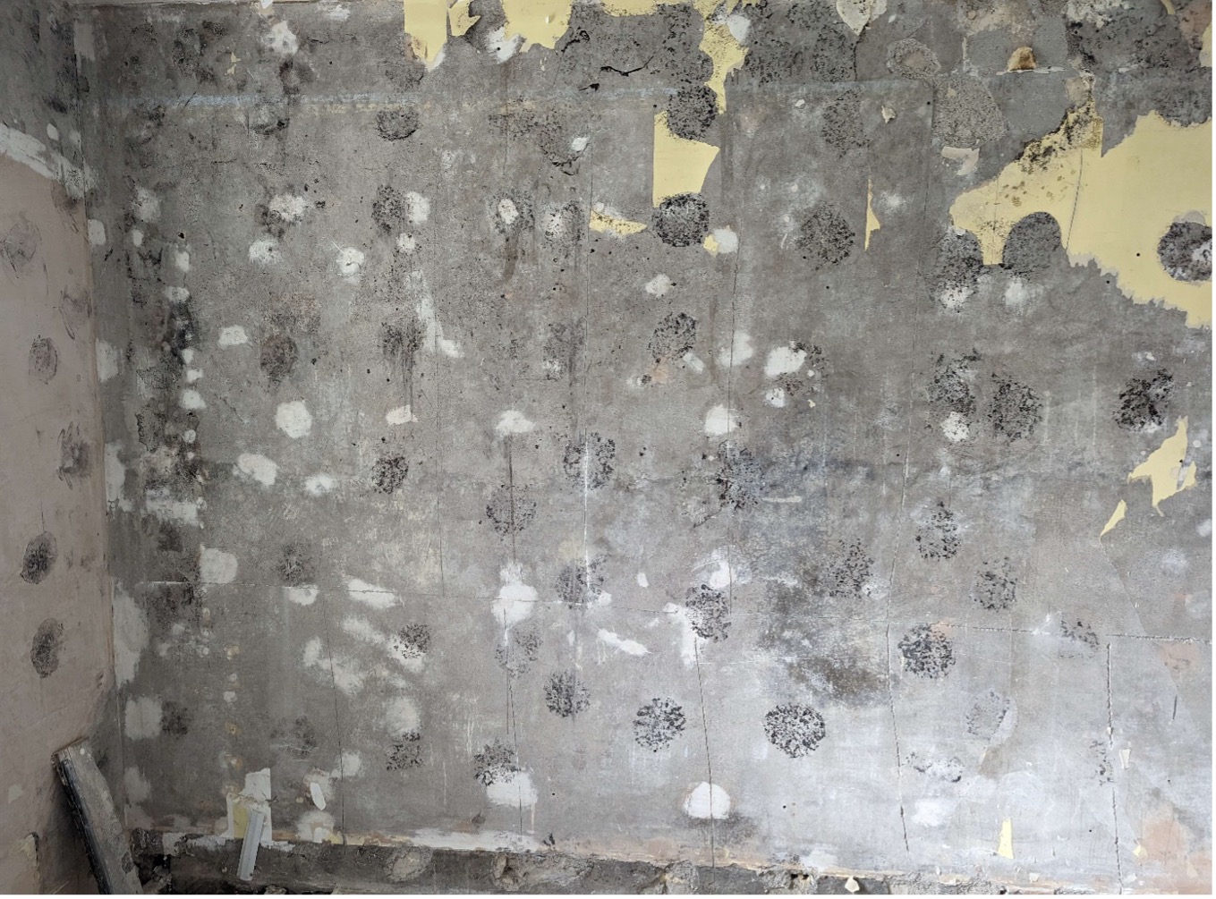 Mould on wall behind plasterboard